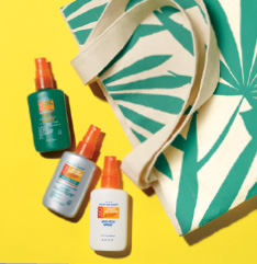 BUG GUARD MINIS … AND A TOTE!
