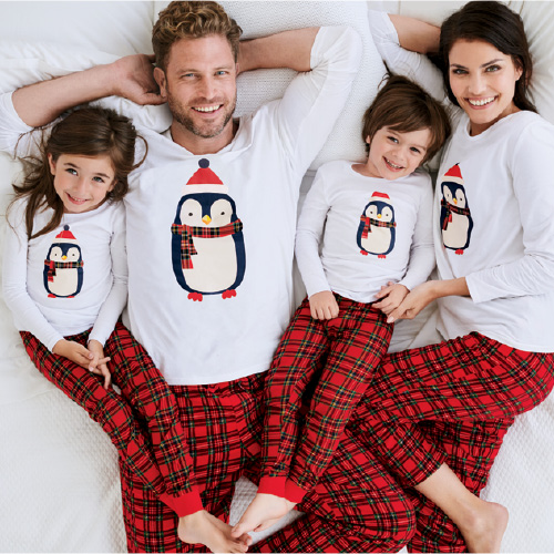 FOR THE FAMILY – PENGUINS GALORE!