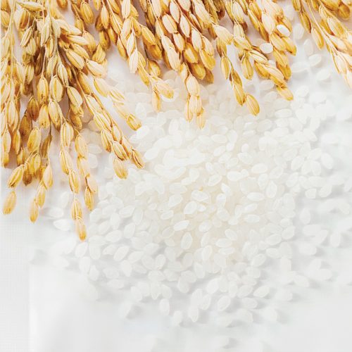 Best of K-Beauty: Organist Rice Water for hair and body