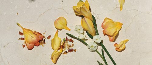 The Wonderful Smell of Avon Far Away