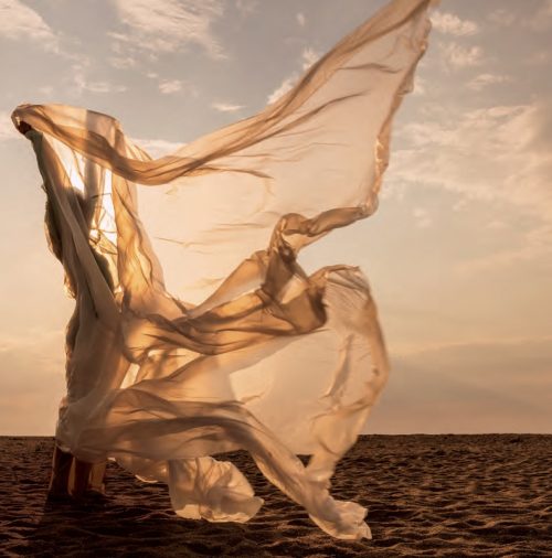 SAVE BIG on C12 Limited Time Fragrance Bundles before they’re gone