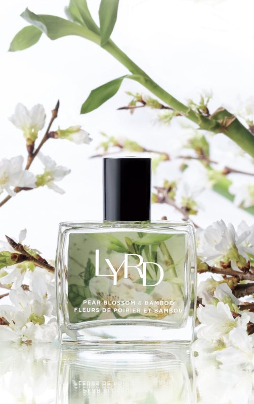 FRAGRANCE: lush & invigorating