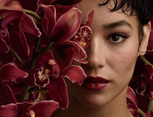 Layer Your Signature: The LYRD Fragrance Collection